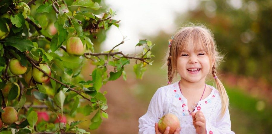 Sortie aux pommes